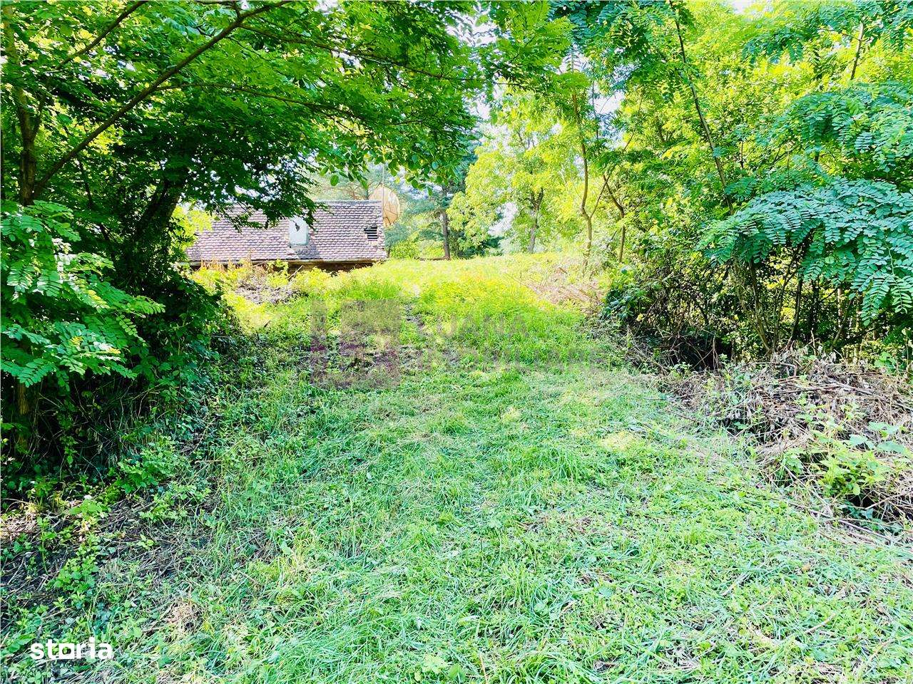 Teren 3581 mp | Marginimea Sibiului | priveliste superba - Imagine principală: 4/11