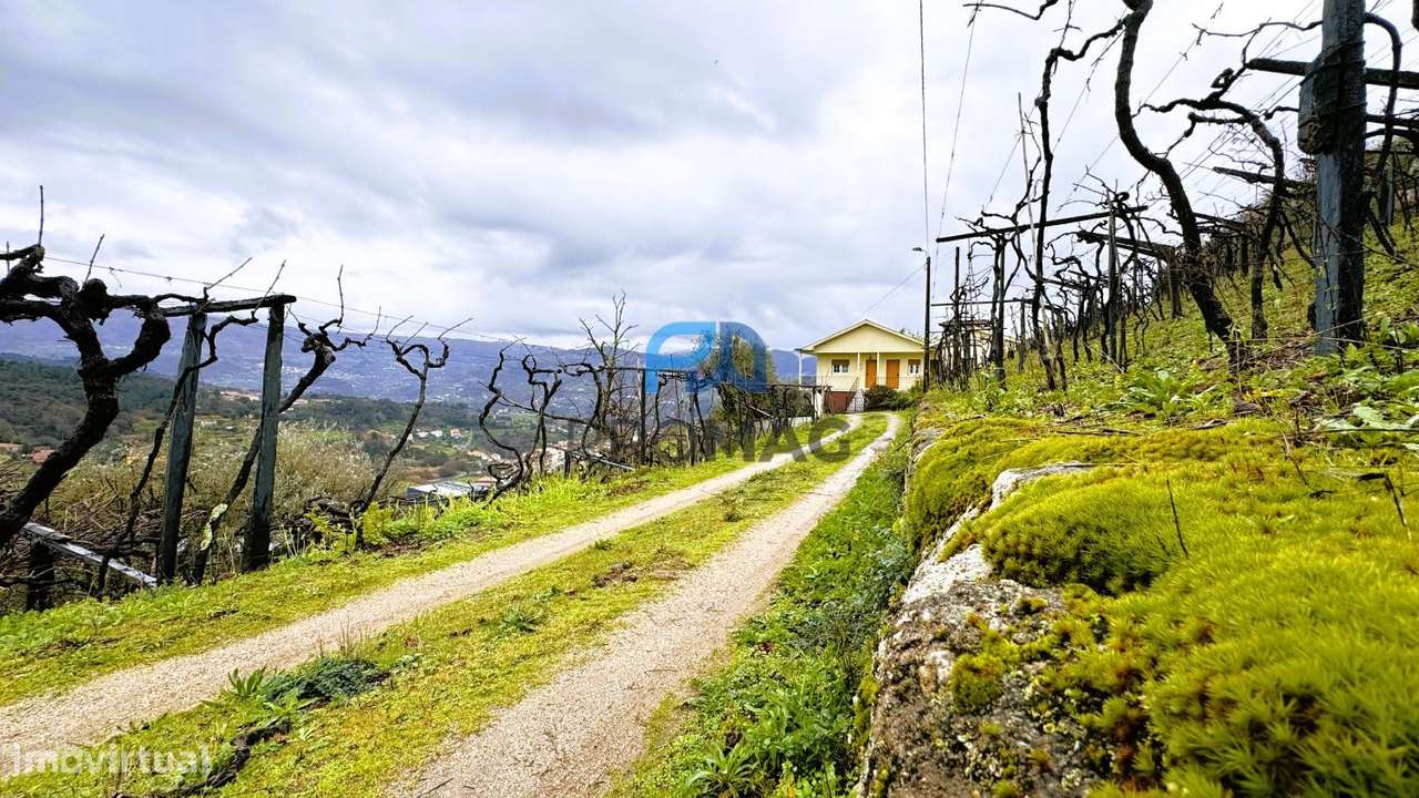 Quinta T4 no Coração do Douro – Santa Marinha do Zêzere, Baião - Grande imagem: 5/60
