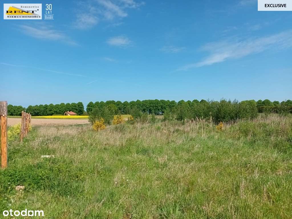 Działka z Warunkami Zabudowy, blisko Kołobrzegu - Pełny obrazek: 5/15