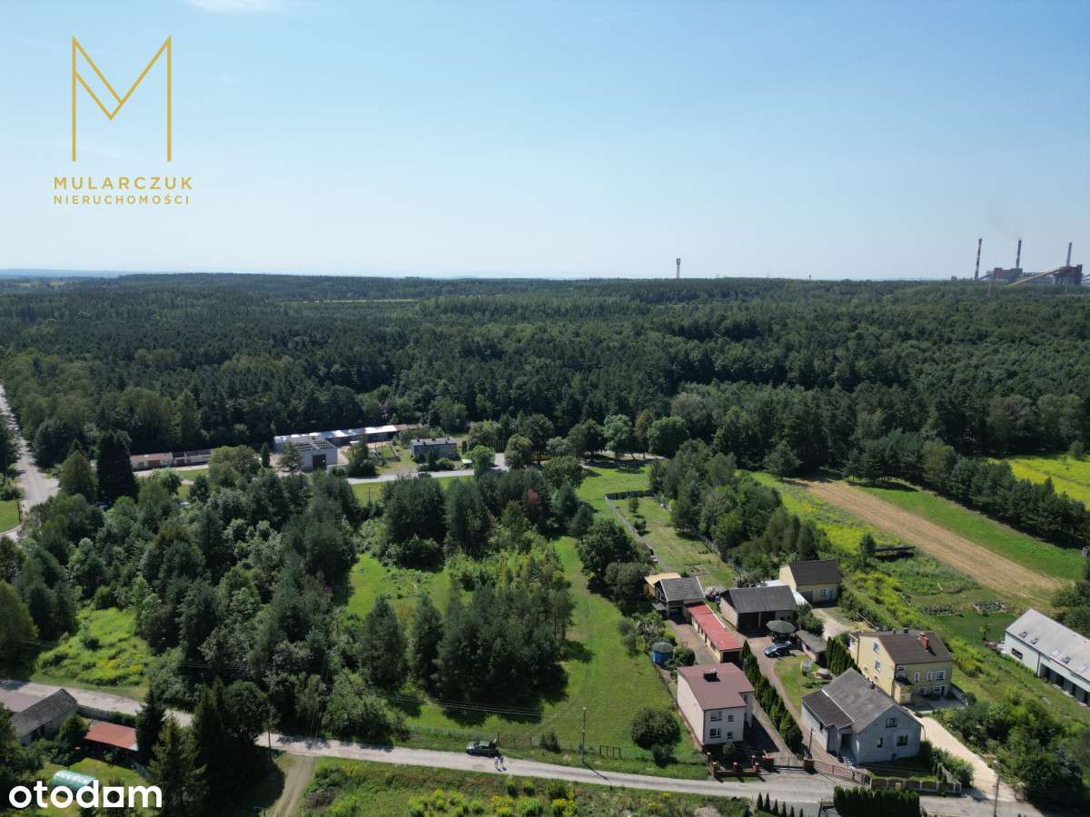 Działka Budowlana 4966 m2 blisko lasu Łęka - Pełny obrazek: 3/12