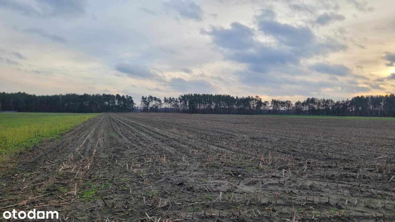 Działki budowlane w cichej i spokojnej okolicy ADELIN Warunki Zabudowy - Pełny obrazek: 4/7