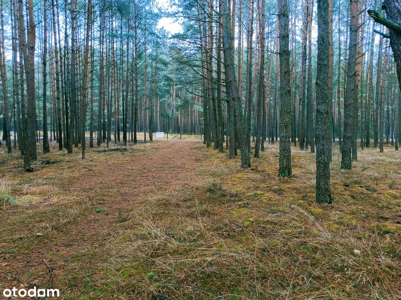 Działka z linią brzegową w Mężyku - Biała-5