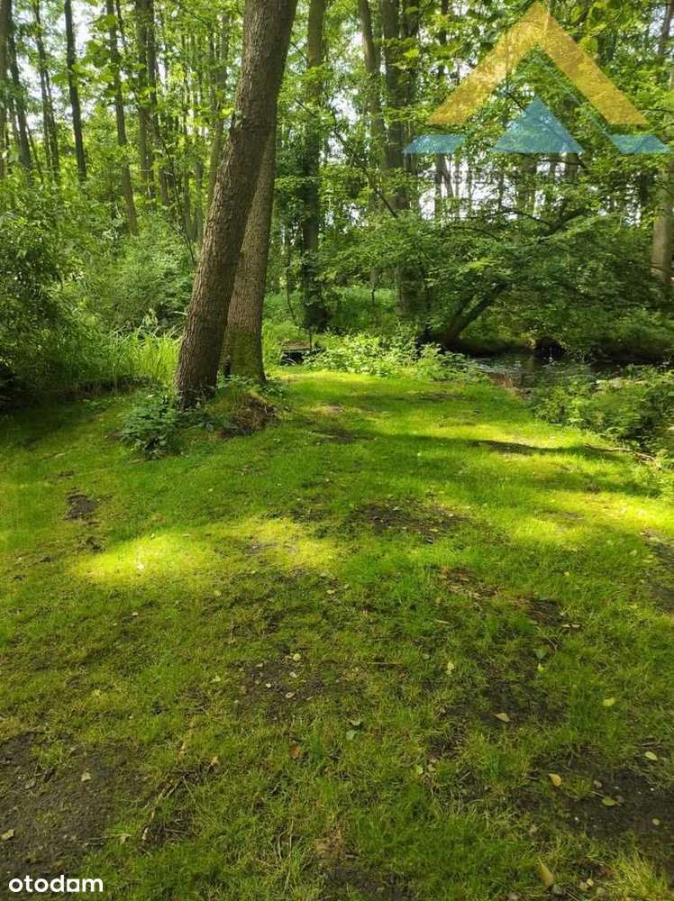 Ładny wolnostojący dom z ogródkiem 380 tys.!-15