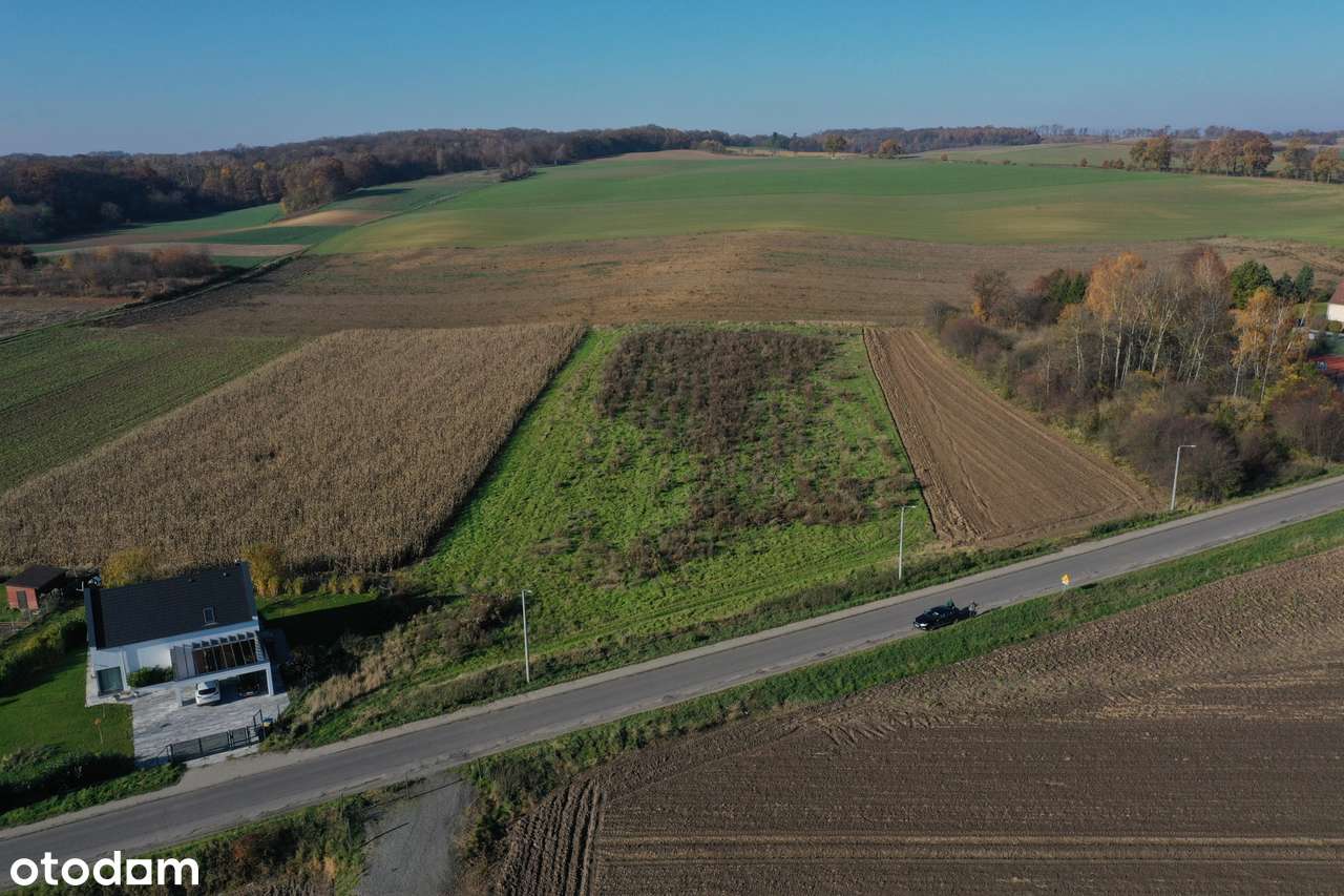 Działka budowlana w Boleścinie - Pełny obrazek: 4/4