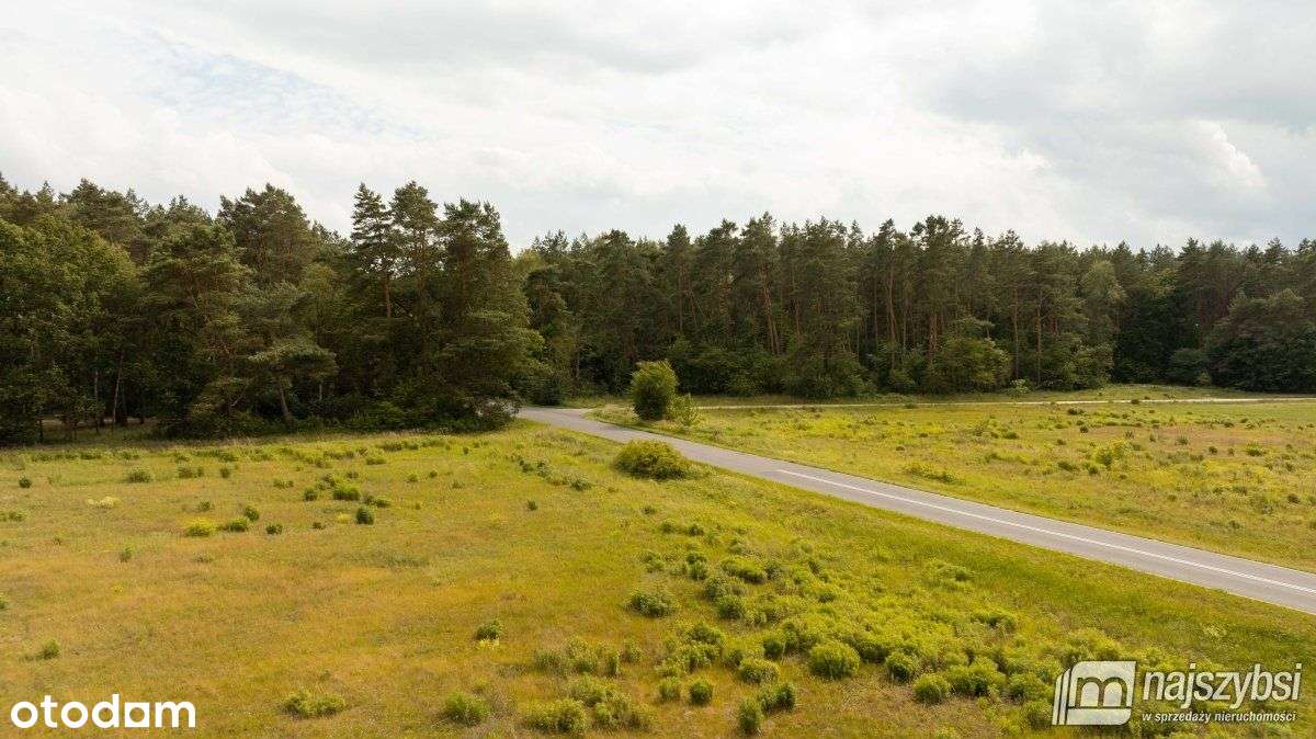 Goleniów - działka inwestycyjna 2,7 ha blisko S6 - Pełny obrazek: 2/12