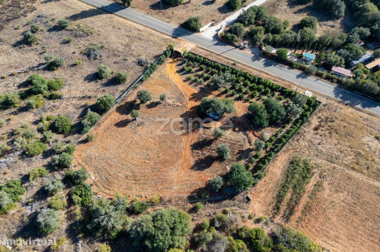 Terreno rústico vedado em Silves. - Grande imagem: 3/32