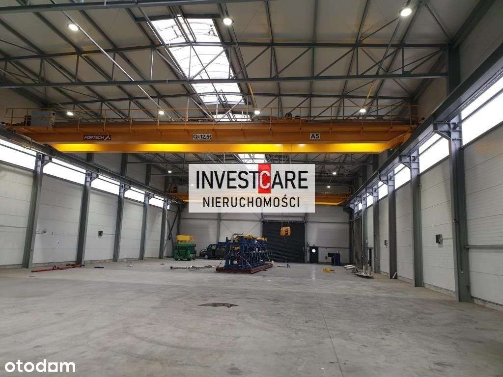 Hala z suwnicami 24T (2x 12T) - Pełny obrazek: 2/10