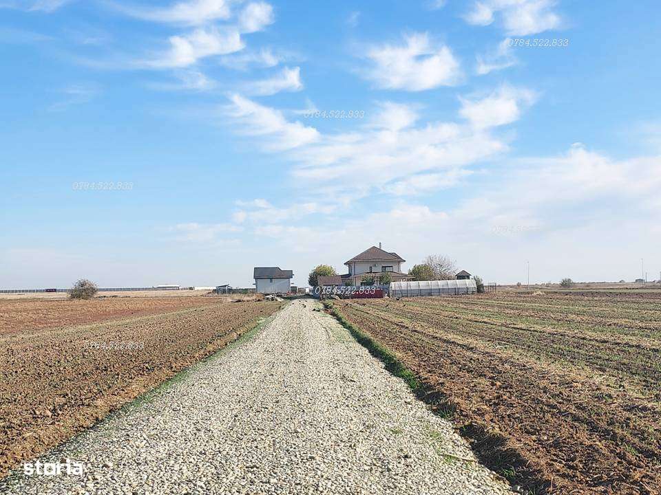 Lot 482 mp Berceni, Ilfov – teren intravilan de vânzare, utilități-0