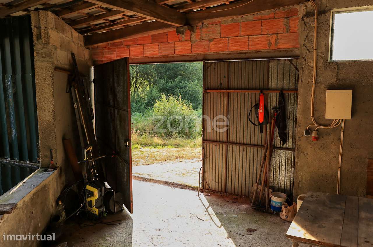 Terreno de 30.500m² c/ nascente, árvores e ruína para restauro, Viz... - Grande imagem: 5/18