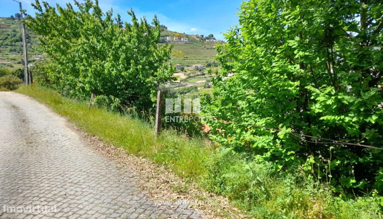 Venda Terreno Sta Marinha do Zezêre, Baião - Grande imagem: 4/34