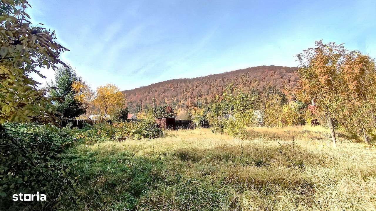 Teren Intravilan Bunloc - Imagine principală: 2/16