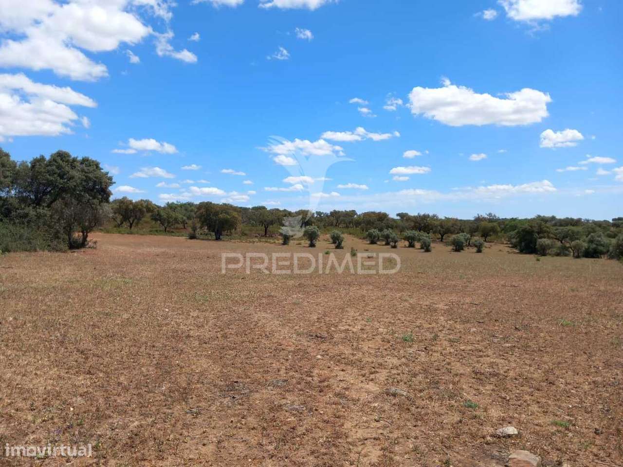 TERRENO COM 5,675 (Ha) - Grande imagem: 2/13