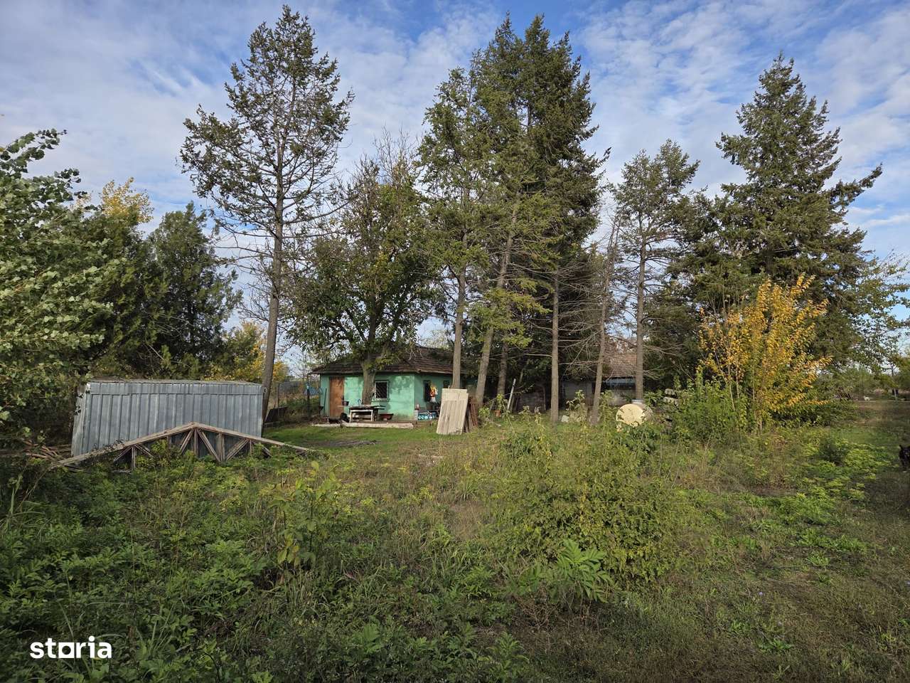 Teren intravilan 9970 mp, com. Chirnogi, jud. Calarasi - Imagine principală: 5/8