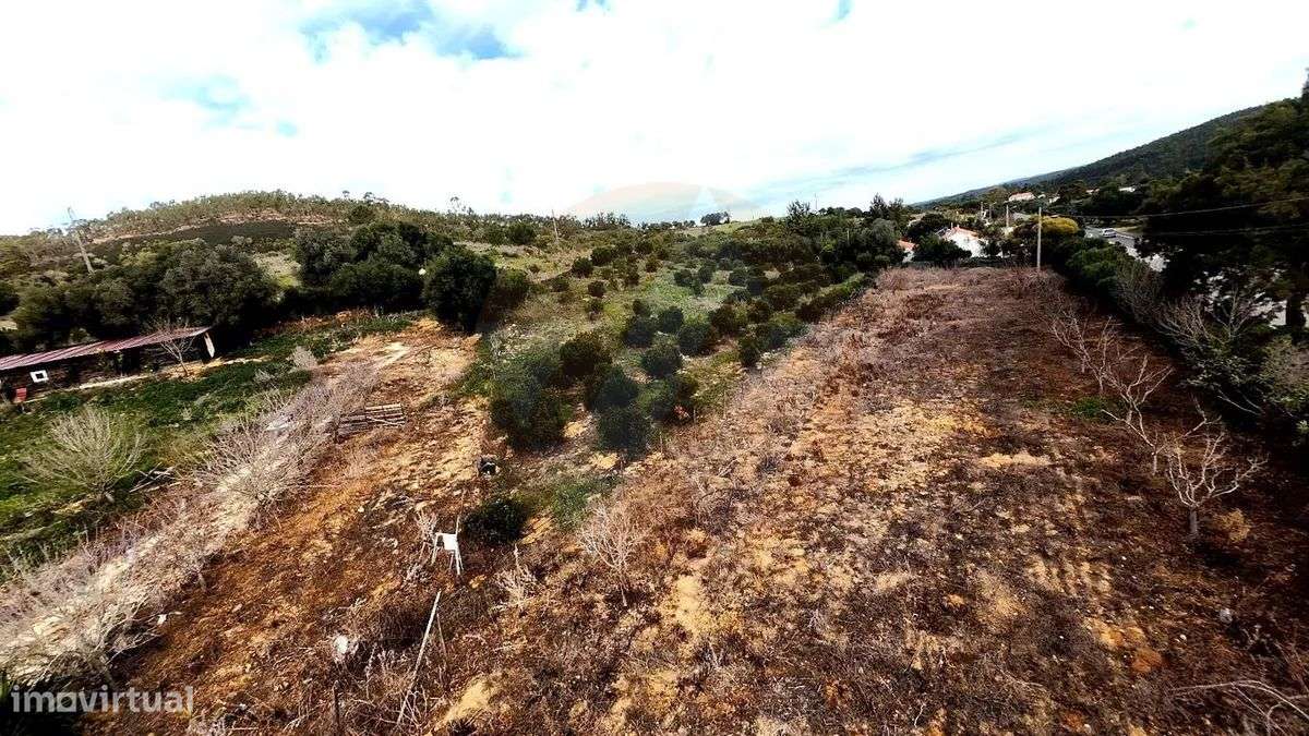 Terreno à beira da EN120 com negócio e mobile home - Grande imagem: 5/8