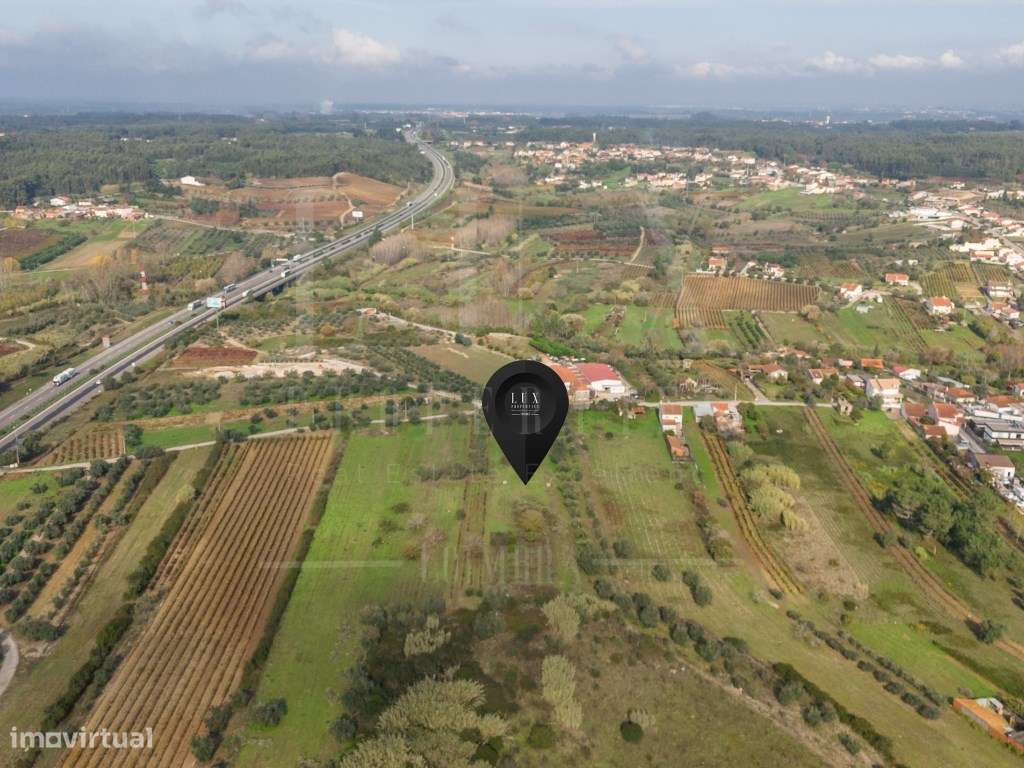 Terreno | Ventosa do Bairro, Mealhada-9