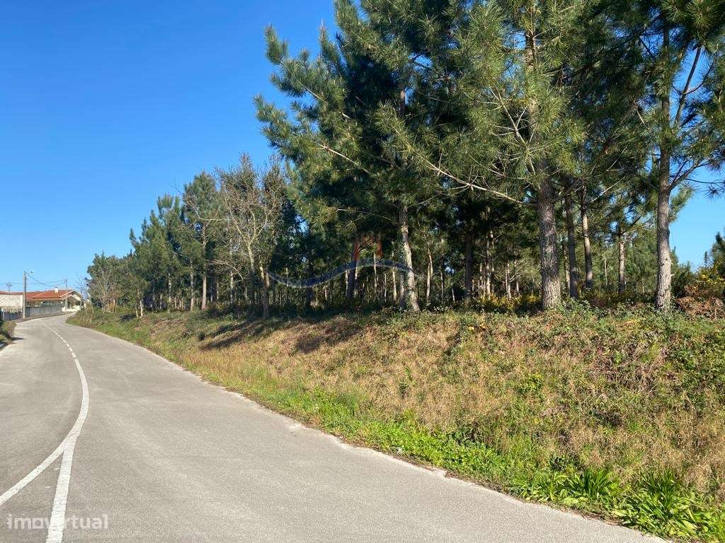 Terreno - Monte Real. - Grande imagem: 3/21