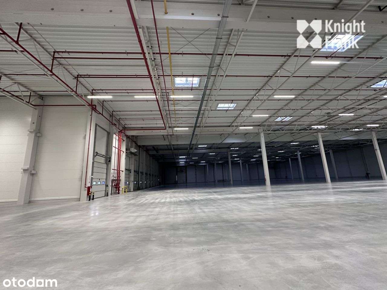 Magazyn-Chłodnia/3100m2 w tym 350m2 chłodni i 250m