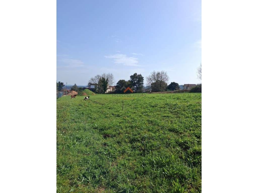 Terreno com 2.200 m² Urbanizável a 1 minuto do centro de Águeda - Grande imagem: 5/8