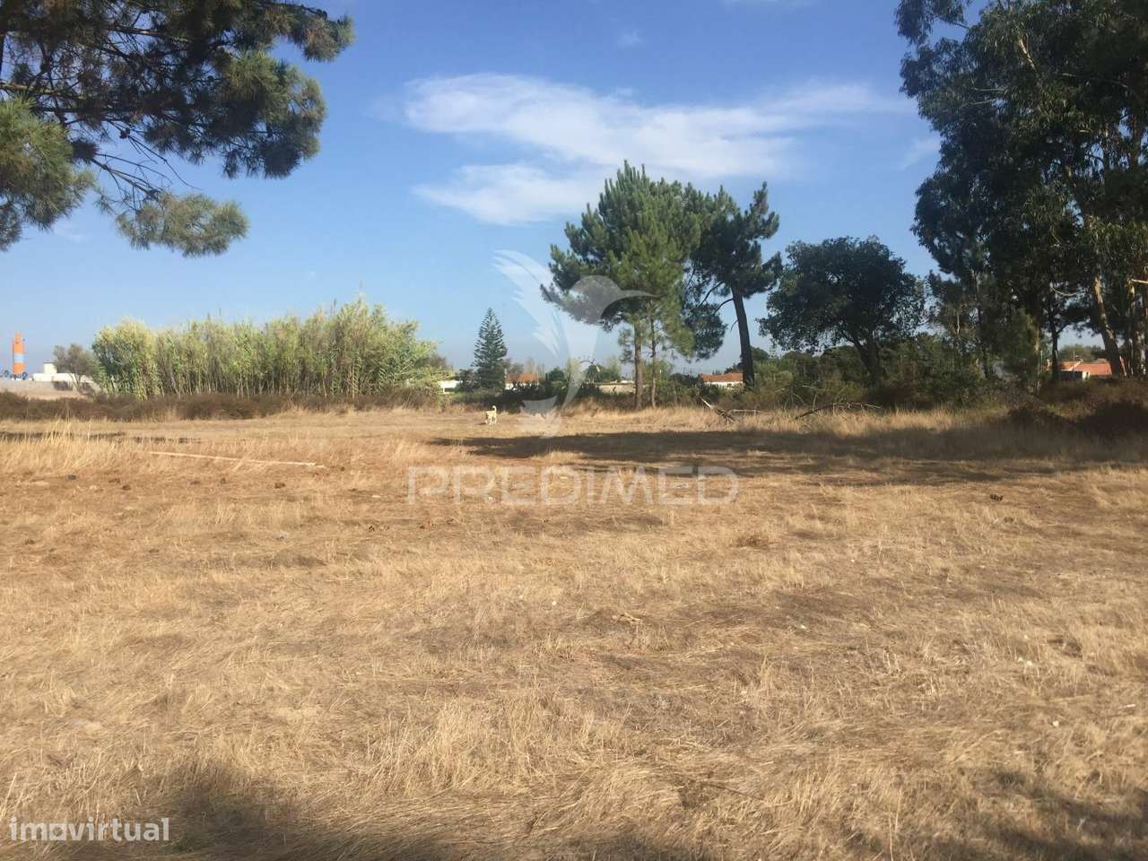 Terreno com 22000 m2 - Samora Correia - Grande imagem: 5/10