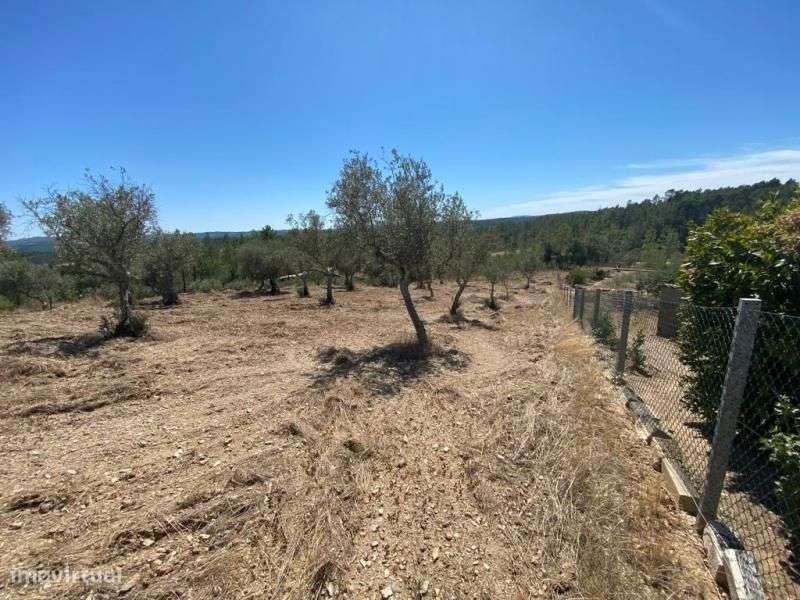 Quinta - Grande imagem: 1/4