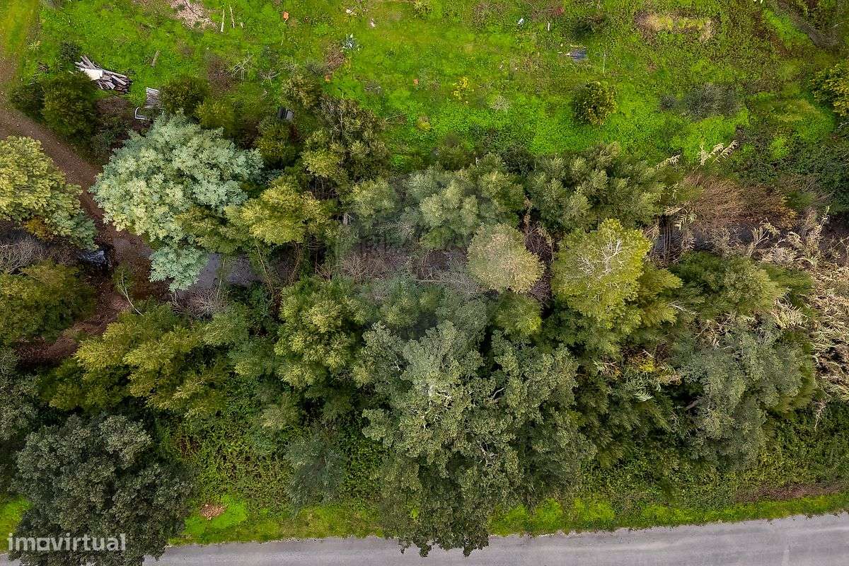 Moradia T4 para venda-39