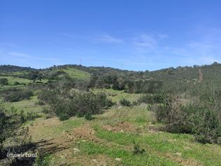 Terreno rústico de10,61Ha localizado 2 Km a sul da Dogueno, Almodôvar