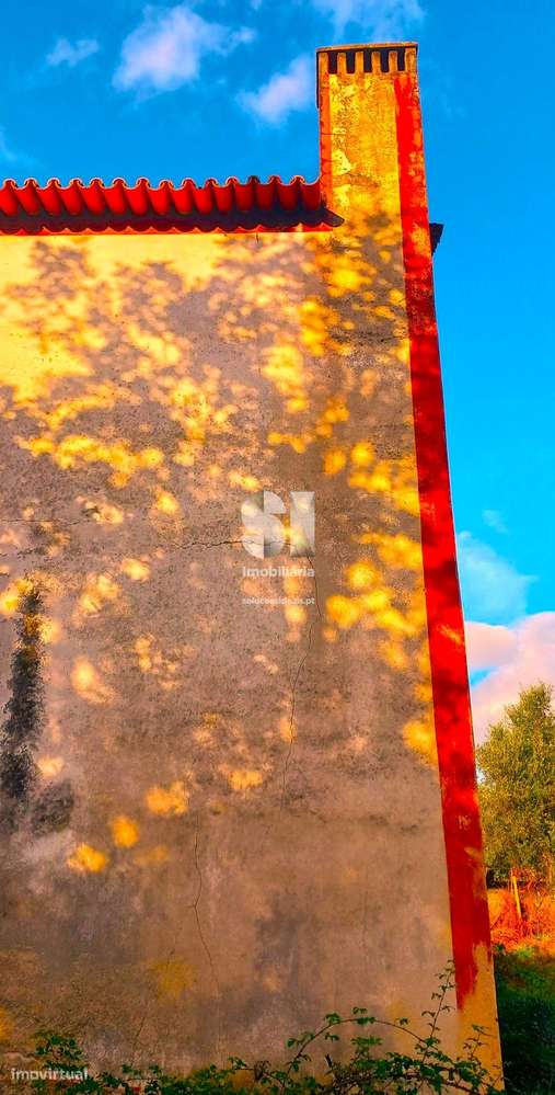 Quintinha em ruinas V.N.Poiares - Grande imagem: 5/33