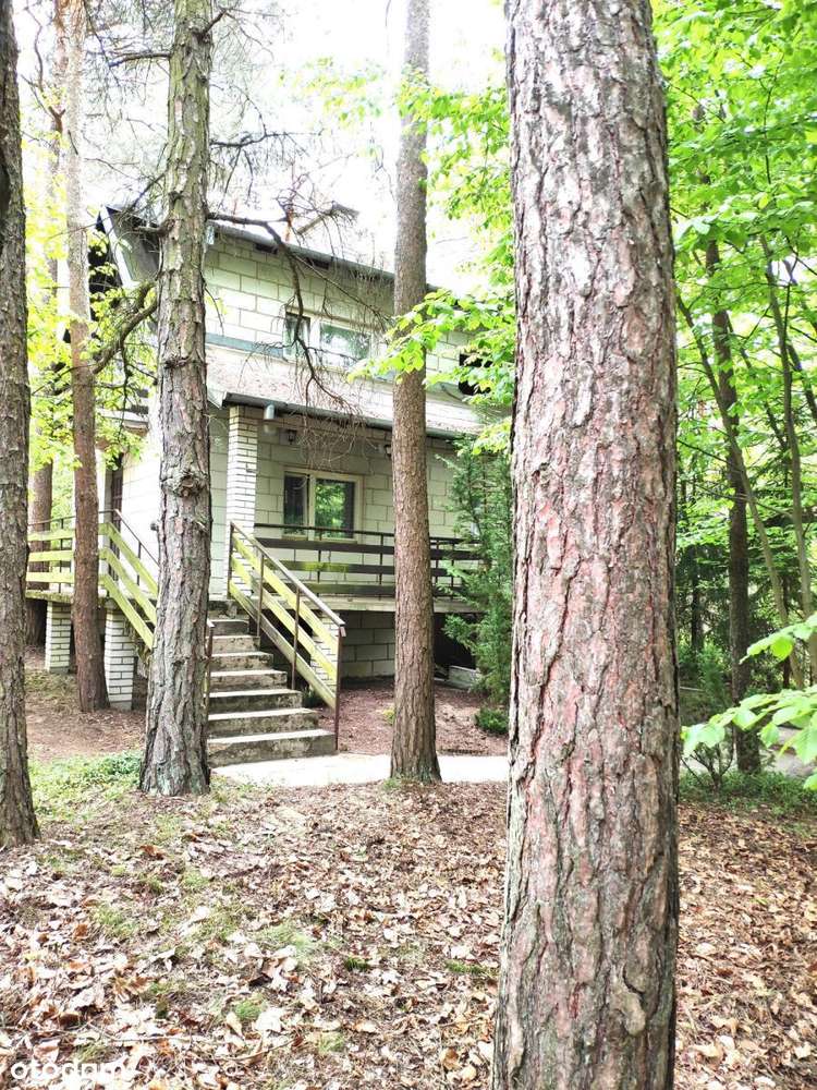 987102 - Pełny obrazek: 1/17