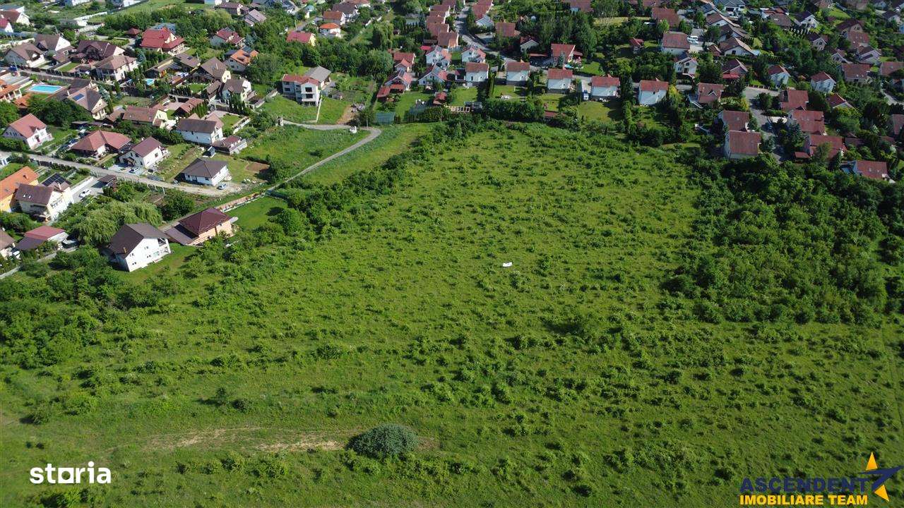 FILM!Oportunitate: 8.500mp, recomandat investitionaldezvoltare,Livezen - Imagine principală: 3/15