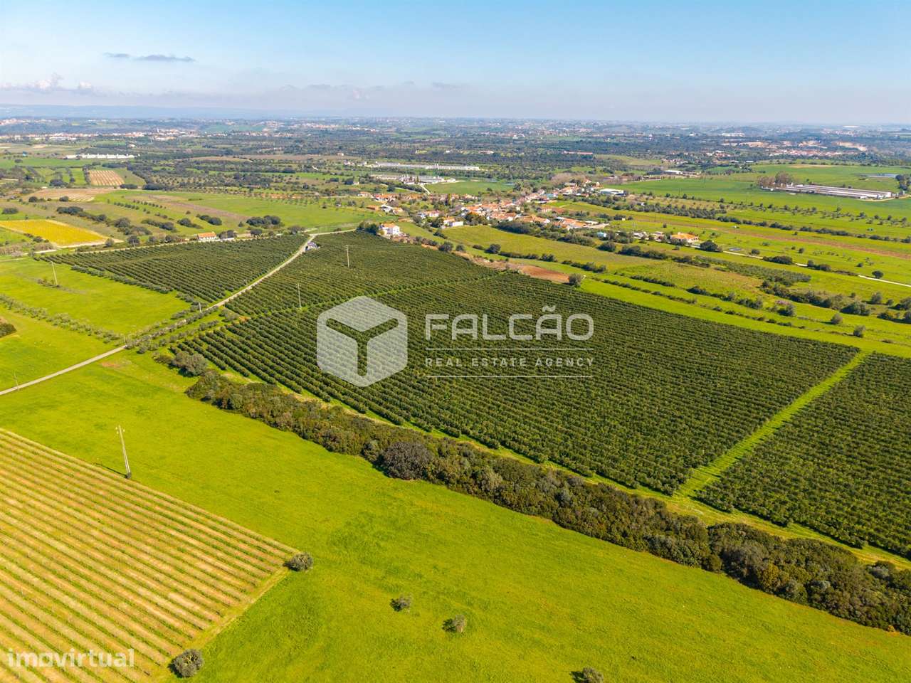 Terreno Rústico  Venda em Almoster,Santarém - Grande imagem: 5/29