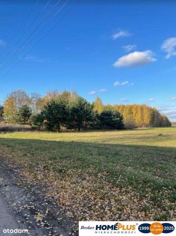 Działka z zabudową jednorodzinną, linia 110 kV - Pełny obrazek: 5/6