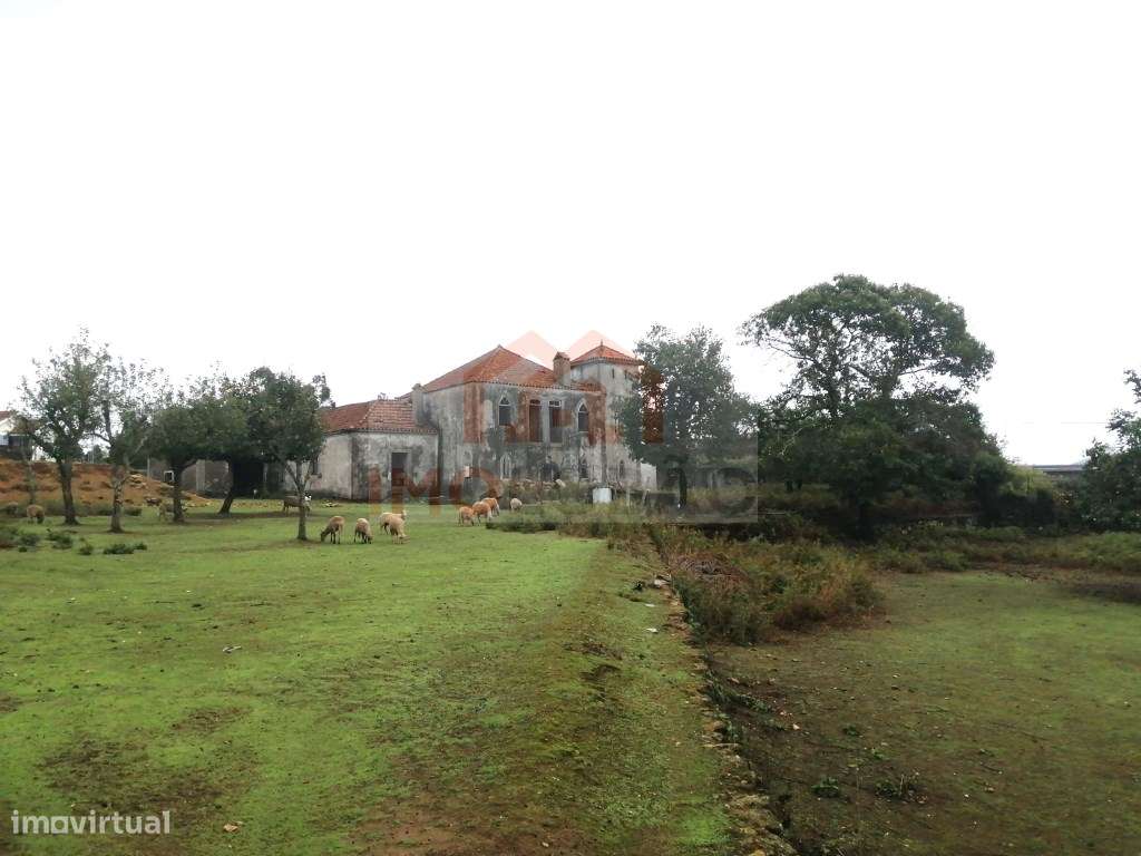 QUINTA - GIÃO - Grande imagem: 4/34