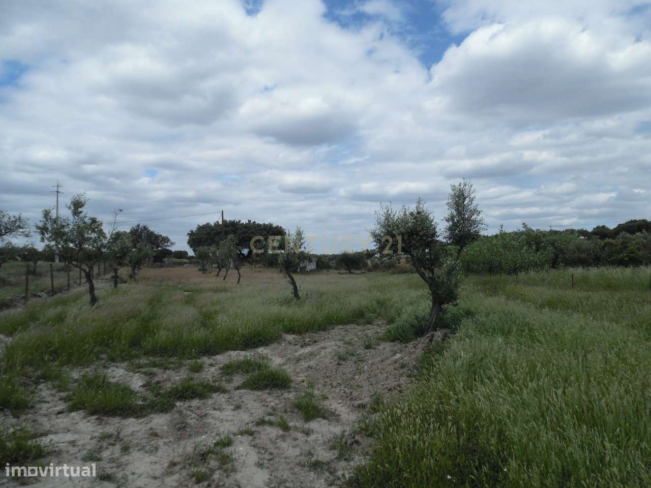 Quinta em Capelins,  Alandroal - Évora,  Oportunidade Única-50