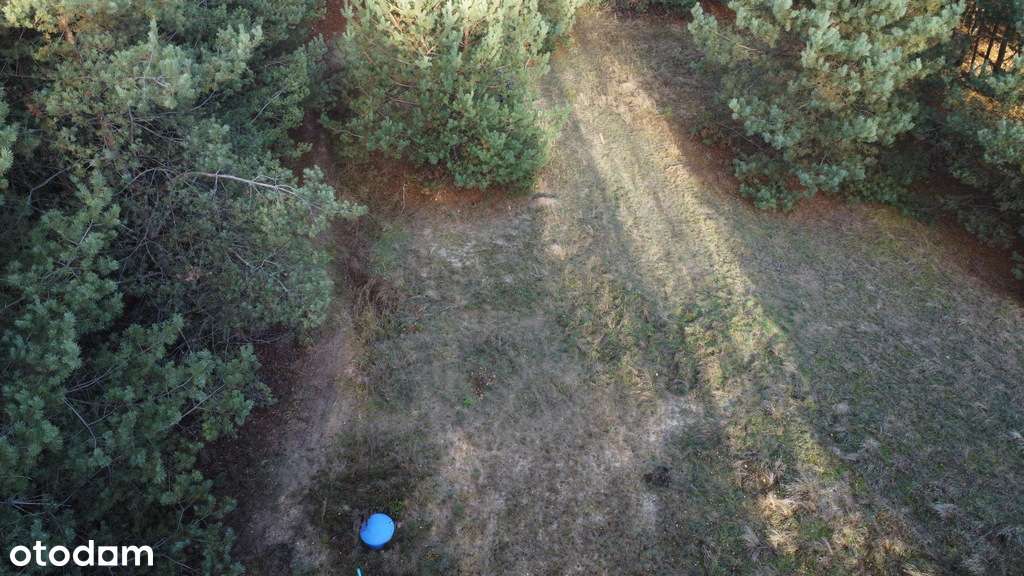 Na sprzedaż wyjątkowa nieruchomość – dwie działki - Pełny obrazek: 3/13