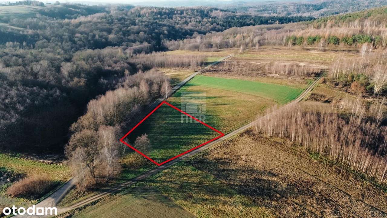 Działka budowlana w Biesiadkach jak marzenie - Pełny obrazek: 5/12