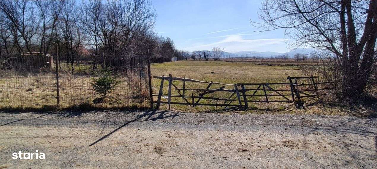 Lot de teren generos in zona linistita si usor accesibila-2