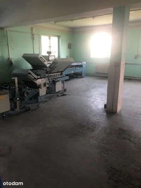 Przestronna Hala Do Wynajęcia - Bezpośrednio! Dobr - Pełny obrazek: 5/18