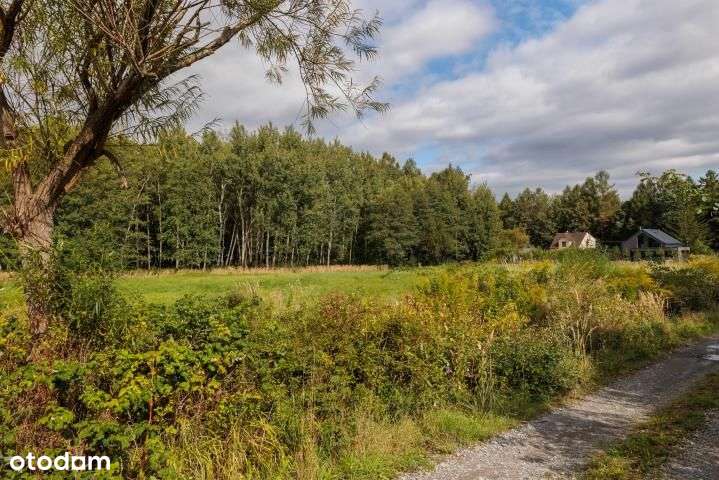 Na sprzedaż:działka budowlana w Wilkowicach-8