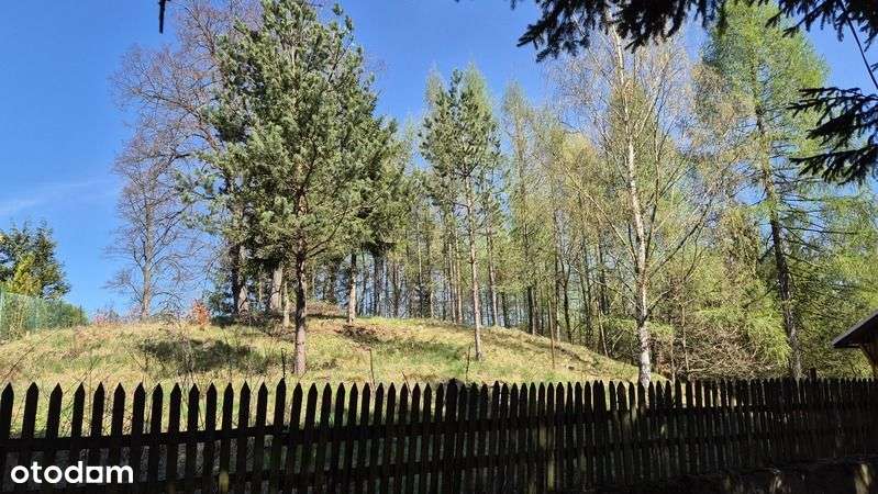 Janowice Wlk. Mały dom 3 pok. 65 m2 - Pełny obrazek: 5/20