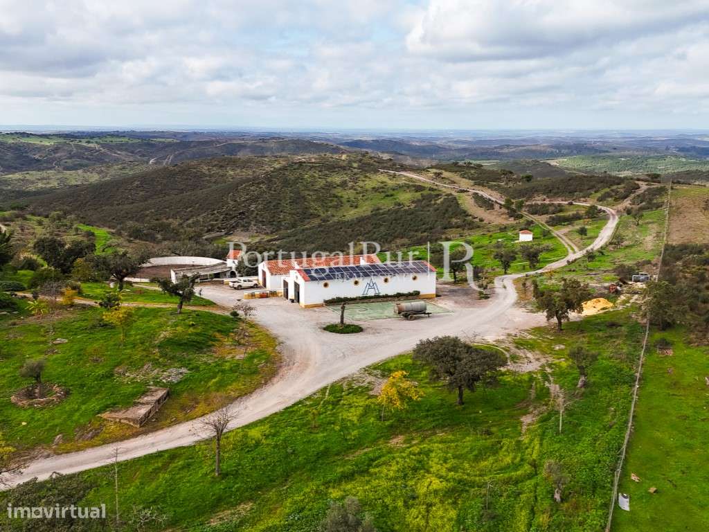 Herdade de Caça Maior com 1000 Hectares + 4 Apartamentos + Anexos-12