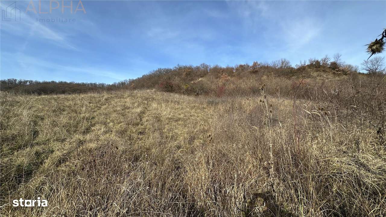 Teren Intravilan Dealu Jelnei - 15.2 ari-5