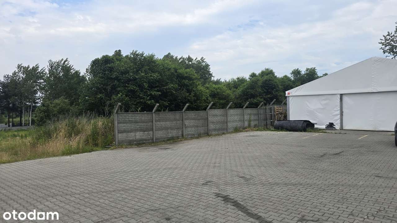 Do wynajęcia hala przemysłowo- magazynowa - Pełny obrazek: 2/6