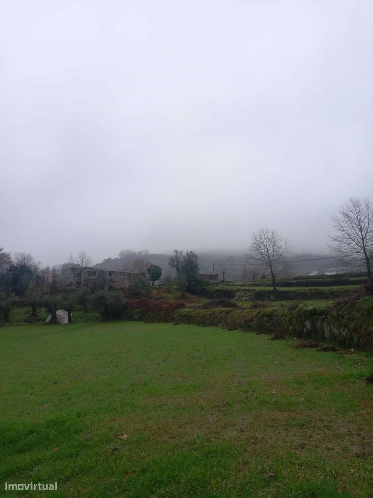 Terreno Rustico Cabeceiras de Basto - Passos - Grande imagem: 4/4