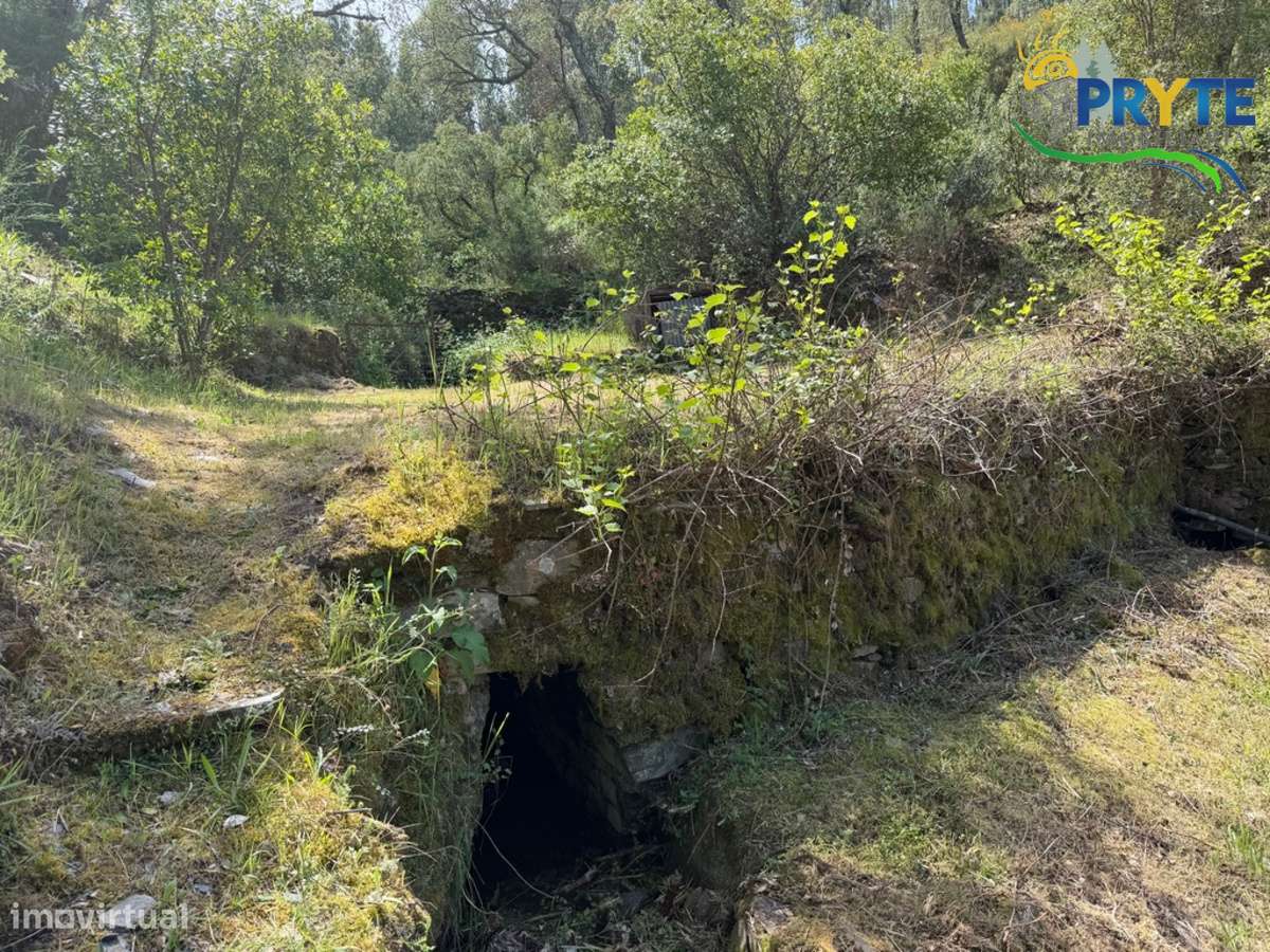 Terreno com uma ruína não registada a 6 quilómetros da Sertã-24