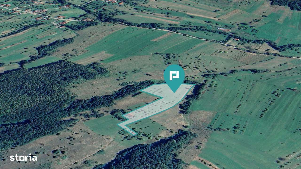 Teren de 92294 in Halmagiu - Imagine principală: 4/4