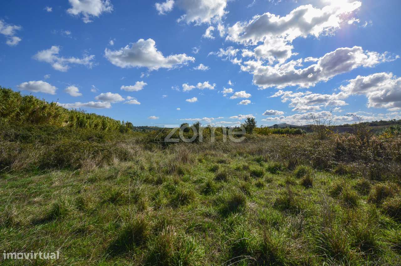 Terreno Pinhal, Alenquer - Grande imagem: 5/8