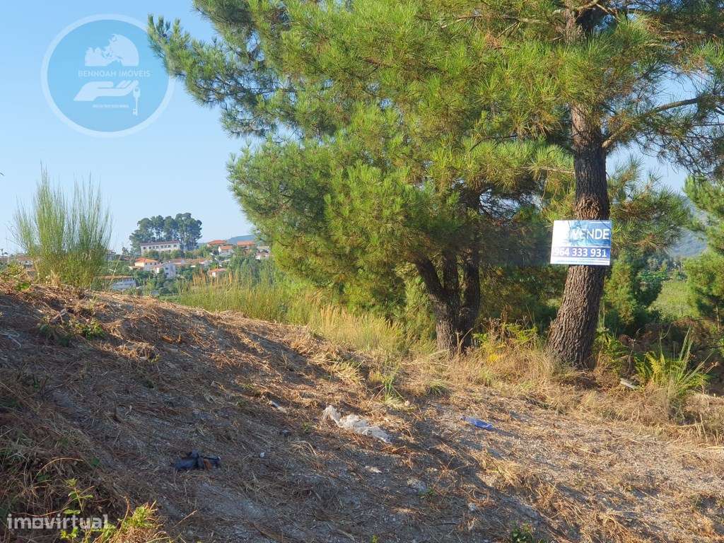 Terreno Construtivo de 1200m² 
Localização: Sra. de Fátima- Cabece...-6