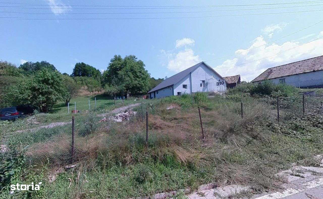 Casa + Teren 4000 mp ~ Idicel Padure-0