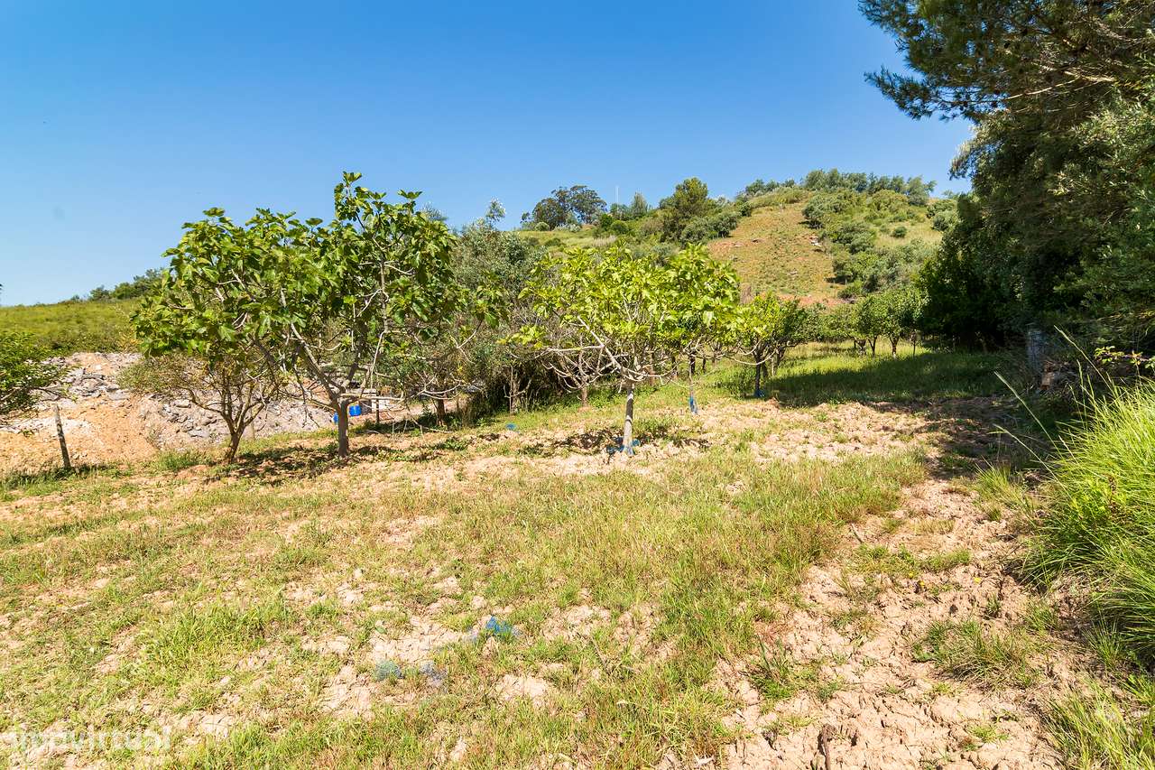 Moradia com terreno e árvores de fruto a 40mn de Lisboa-47
