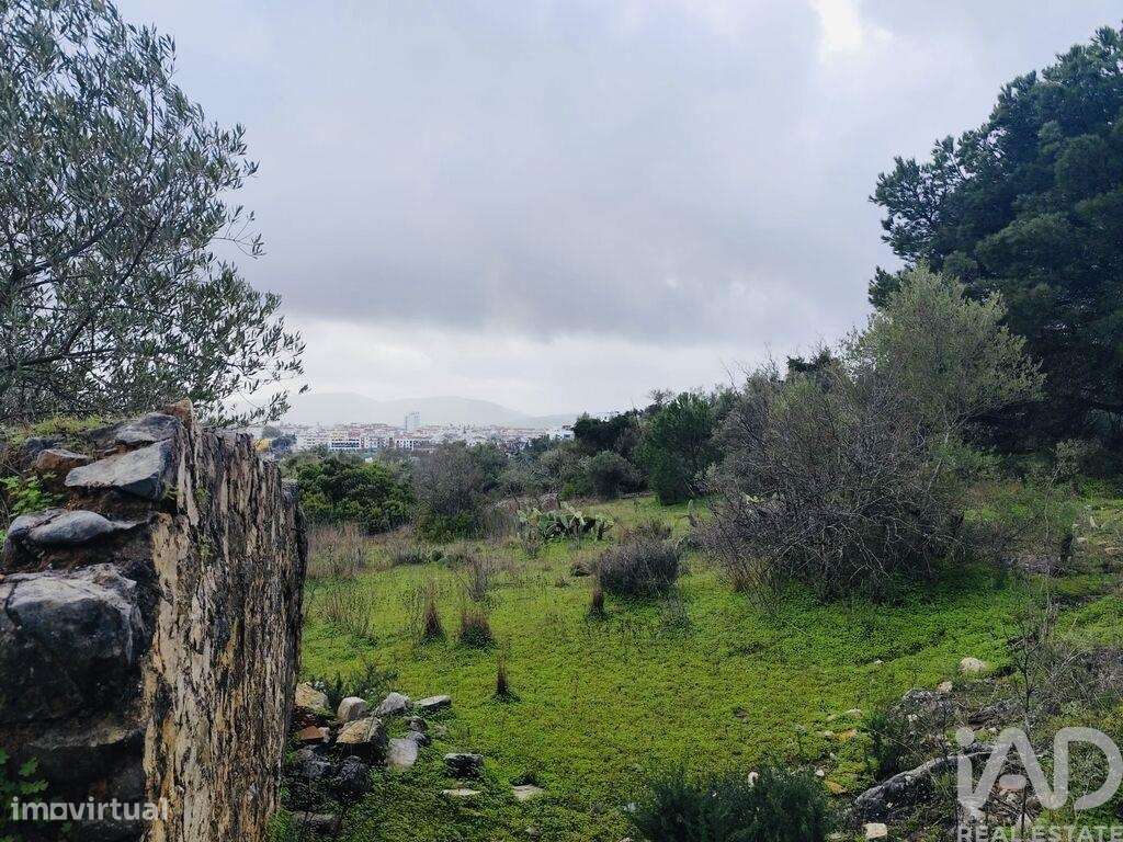 Terreno em São Brás de Alportel - Grande imagem: 5/7